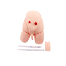 DARHMMY PVC Catheterization Models for Medical Training