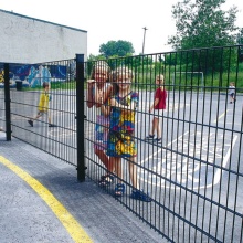 Double Wire Mesh Garden Fence