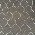 Wire mesh heksagonal dilapisi pvc galvanis yang dicelup panas