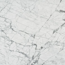 Italian marble importer in China