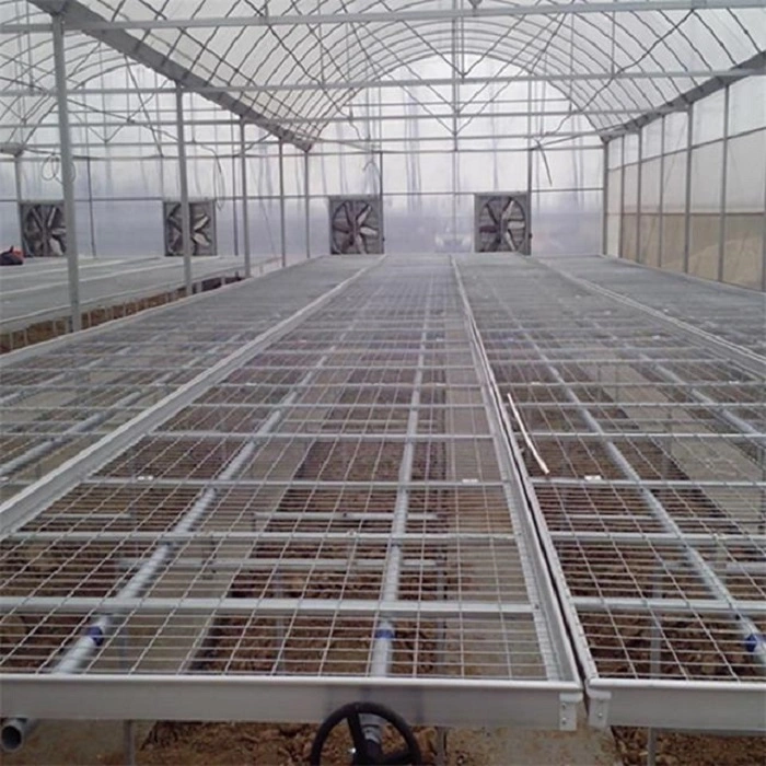 Agricultural Multi-Span Nursery Supplies Nft Hydroponics System Greenhouse  Rolling Tables/Benches/Bed - China Customizable Size, Grow Bed