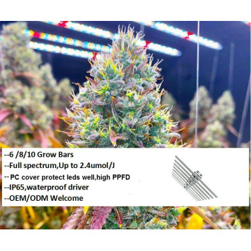 Nueva barra de luz de cultivo LED 480W 640W 800W