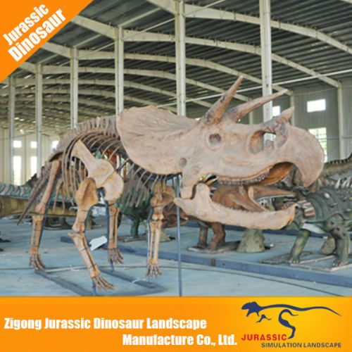High Realistic national museum museum dinosaur skeleton specimen