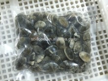 V-packed cooked short clam necked in shell