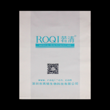 Promotion Packaging Plastic Flat Bag