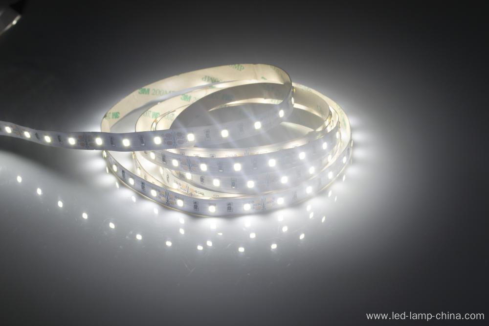 Decorate Sports Rope SMD2835 LED Strip Light