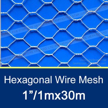 25mm Plant Guard Hexagonal Wire Mesh/Galvanized Hexagonal Wire Mesh