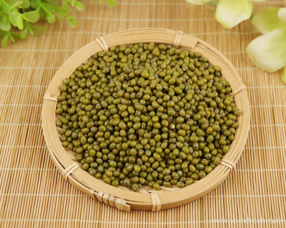 A Green Beans Vegetable
