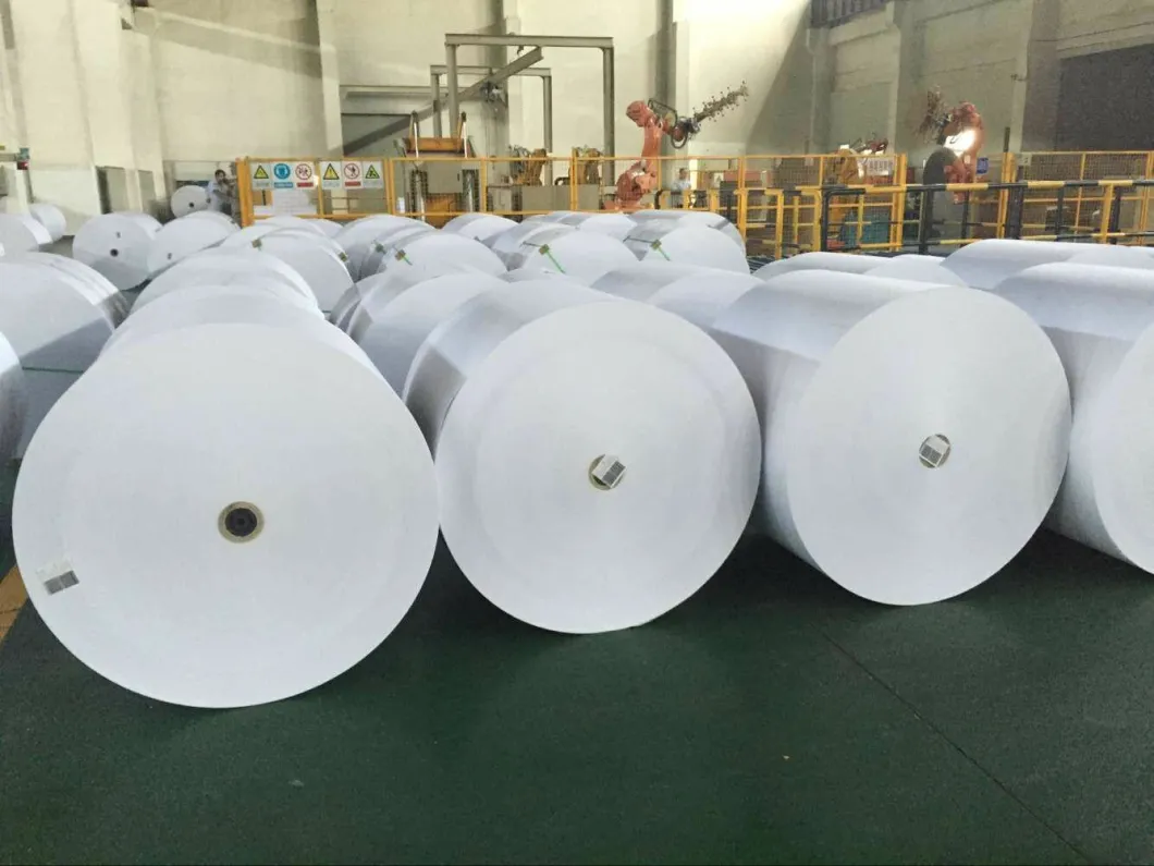 Offset Paper for Printing Books in Reels