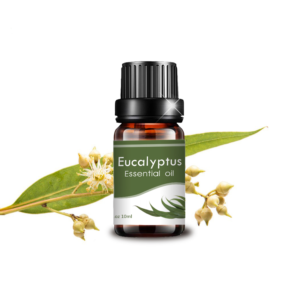 Eucalipto privado Eucalyptus Essential Oil Multi Use Haircare