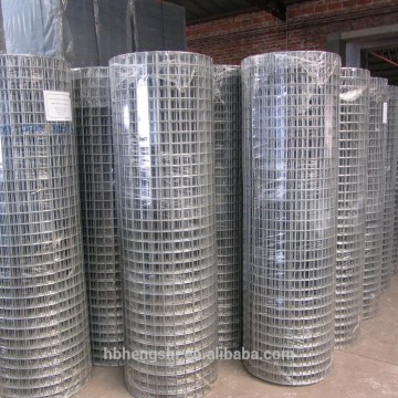 Welded wire mesh factory/10.6mmx10.6mm welded wire mesh/100mmx100mm welded wire mesh