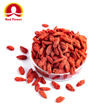 HALAL Red Goji Vitamins