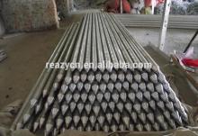 Zinc-clad steel ion electrode/earth electrode rod / grounding rod