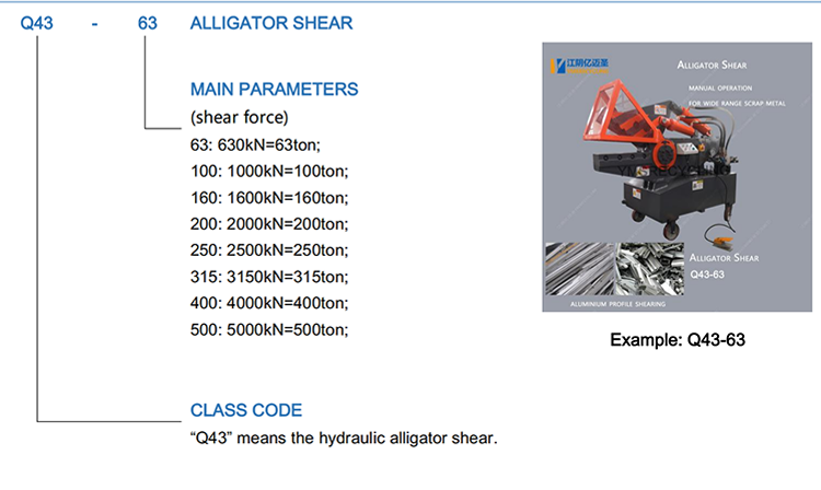 Q43 Alligator Shear Model Description