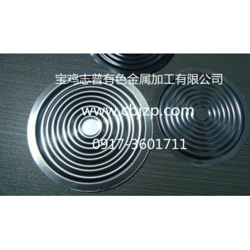 Diaphragme chinois à pression différentielle 316l