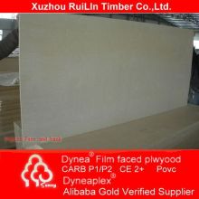 interior plywood paneling