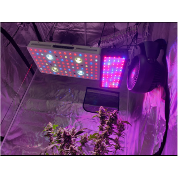 Cob 1000W LED Plant cresce luz