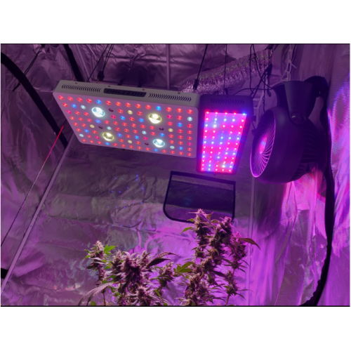COB Series 2000W LED Plant Grow Light