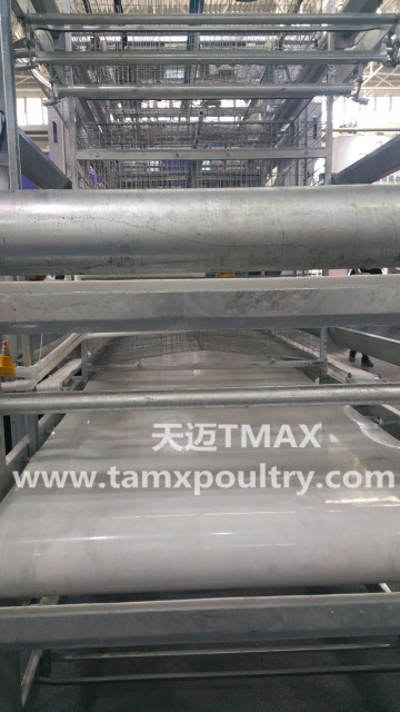 SHINE Poultry Litter Conveyor