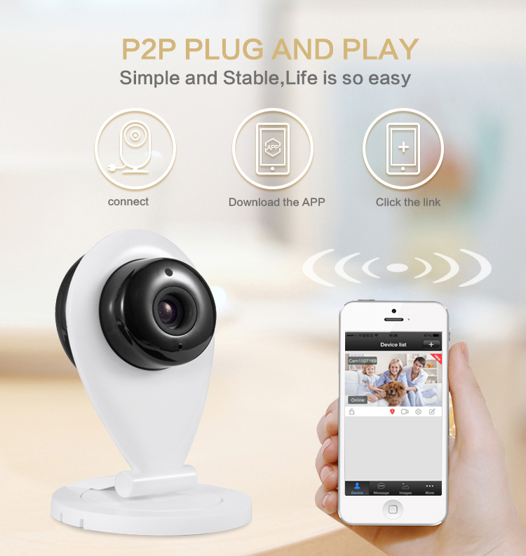 p2p IP Camera