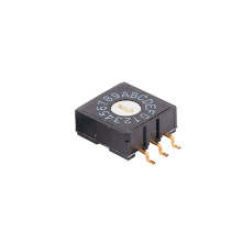 Multi-position16 ရာထူး 24V Micro Rotary Code Switch