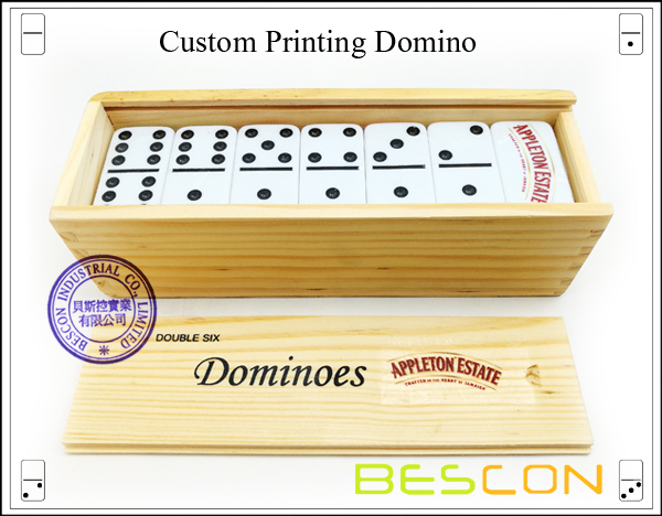 Custom Printing Domino-1 Custom Printing Domino-1