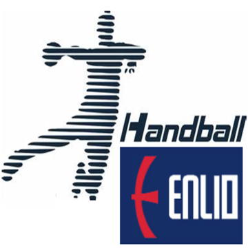 Commerciële draagbare indoor handbalvelden mat