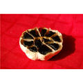 HOT HOT HEALTH BLACK GARLIC E US