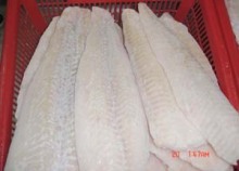 Frozen Fish Arrowtooth