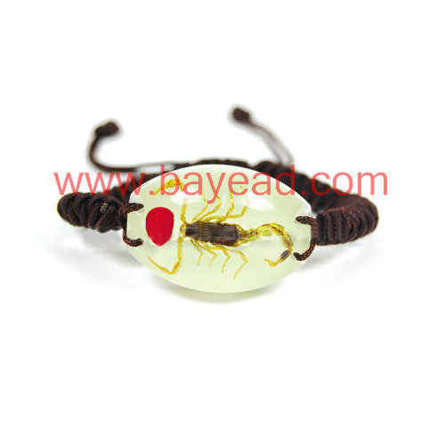 Supply Real Scorpion Inside Amber Bracelet Jewellery
