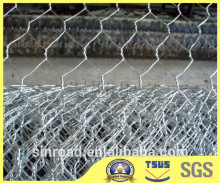 Wire Mesh/Galvanized Wire Mesh Roll