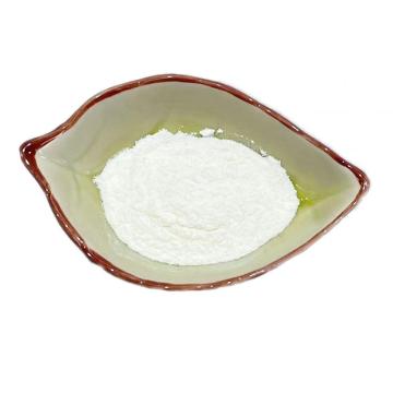 Bacillus coagulans de haute pureté poudre de probiotique