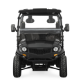 7,5 kW Jeep Style Electric UTV mit EEC