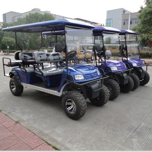 6 passenger gasoline golf cart