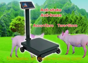 Weight Scale Electronic Scale 300kg Platform Scale 600kg Platform Balance Platform Weigher