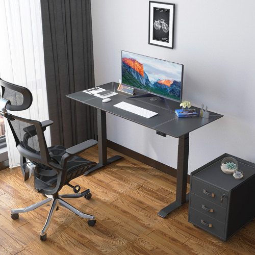 Ergonomic Adjustable Desks Office Standing Electric Desk