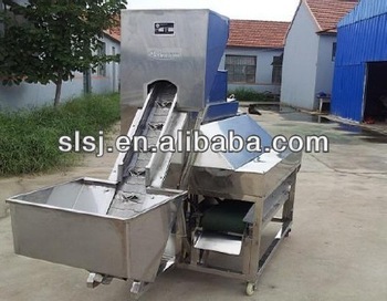 Commercial Dry Onion Peeler Machine