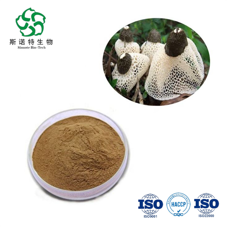 Bamboo Fungus Extract Bamboo Fungus Extract
