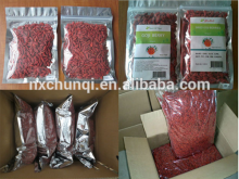 GOJI BERRY/GOJI BERRIES GOLDEN SUPPLIER