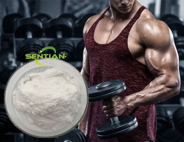 Creatine Monohydrate Creatine Powder