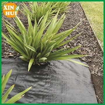 PP woven weed mat /plastic ground cover/black plastic ground cover