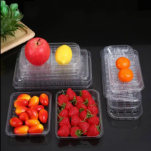 PET Disposable Packaging Boxes PET Food Tray