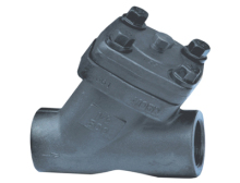 Forged Y Type check valve