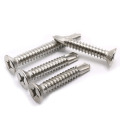 DIN7982 cross recessed countersunk head tapping screws