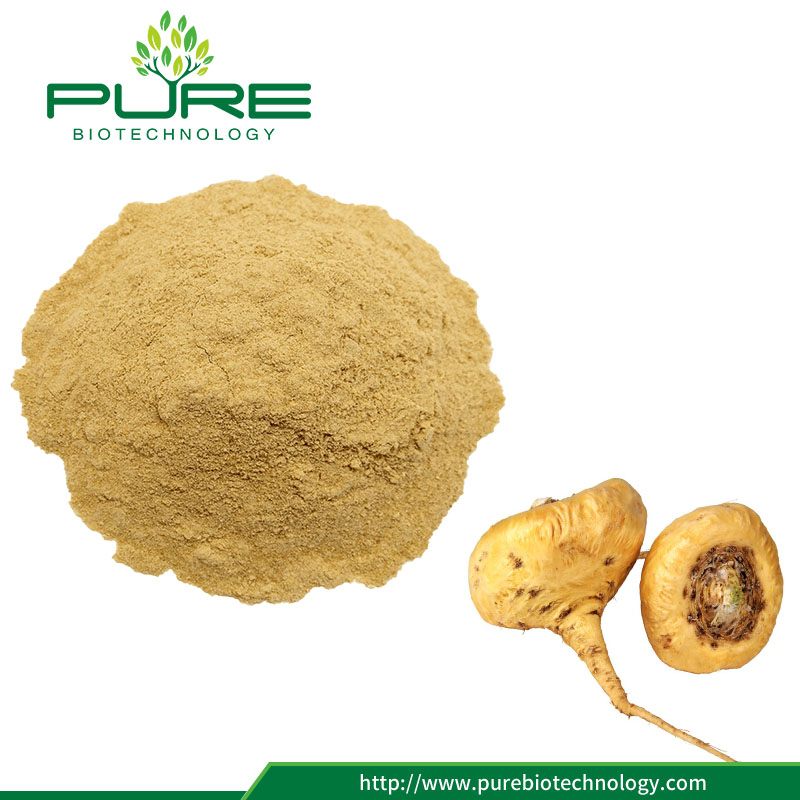 Estratto di polvere di radice di macao Miglior integratori per uomini Maca Root Powder Extract Best Supplements For Men