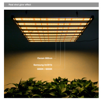 새로운 Gavita 1700e Led Foldable Bar Grow Light