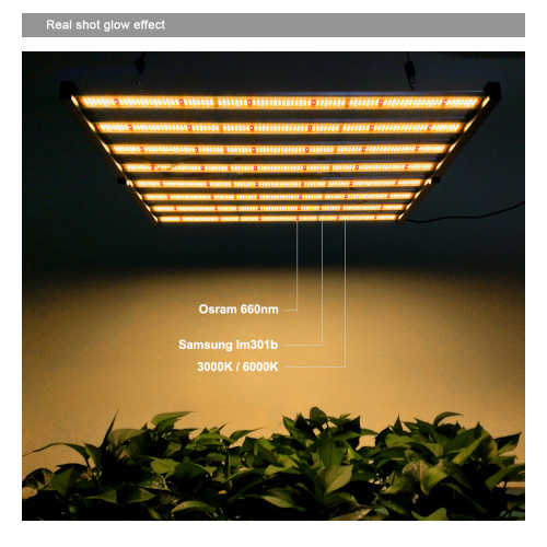 Nova Gavita 1700e Led Dobrável Barra Grow Light