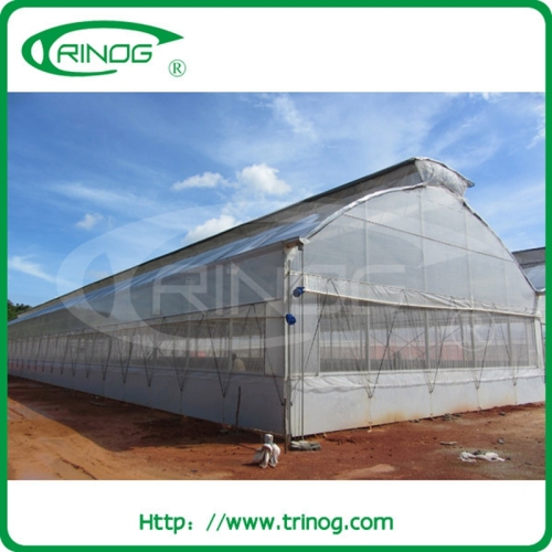 Glavanized steel frame gothic greenhouse for commercial