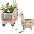 Alpaca / llama &amp; pot bunga kambing