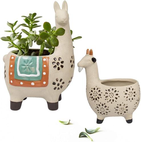 ALPACA / Llama e vasi di fiori di capra
